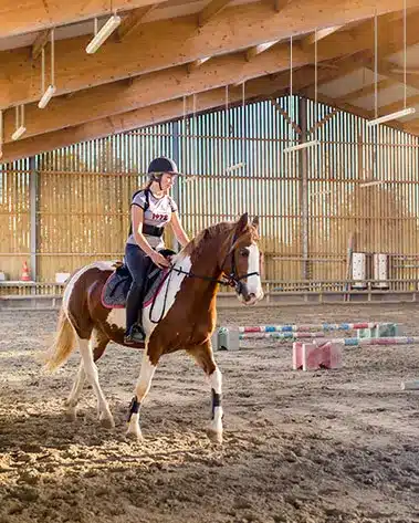 Reithallenbeleuchtung Tipps: Gutes Licht für Mensch und Pferd